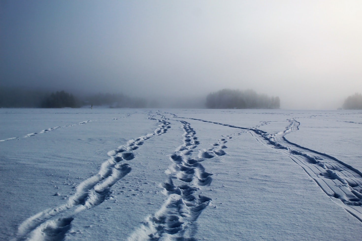 Navigating the Arctic: Tips for Beginners